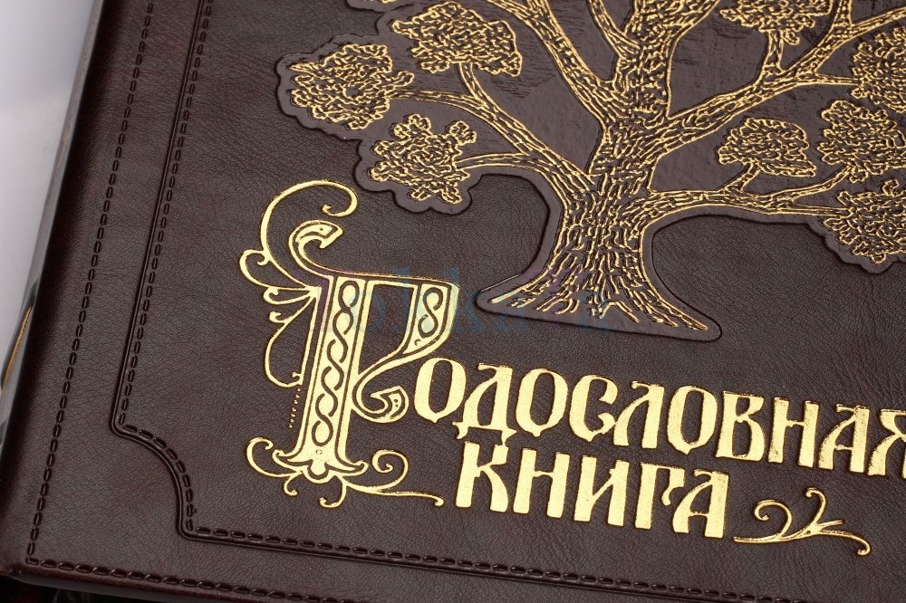 Зачем нужно генеалогическое древо и как его составить