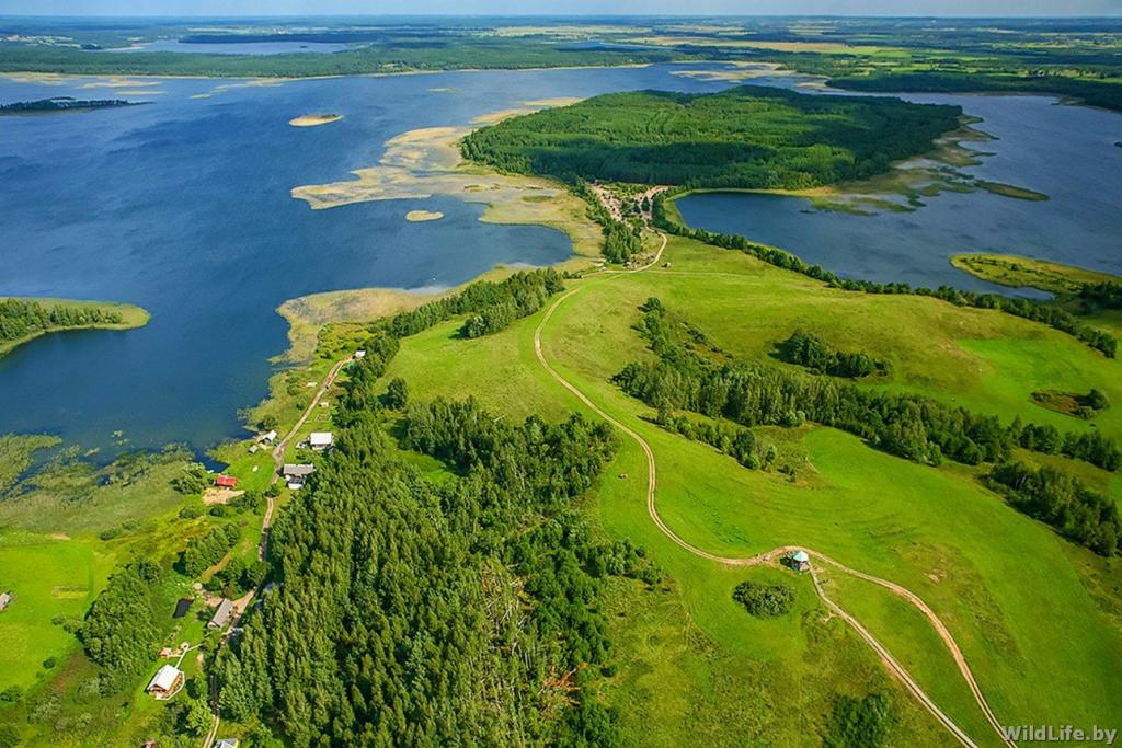 Стоит ли выбирать отдых в Беларуси?