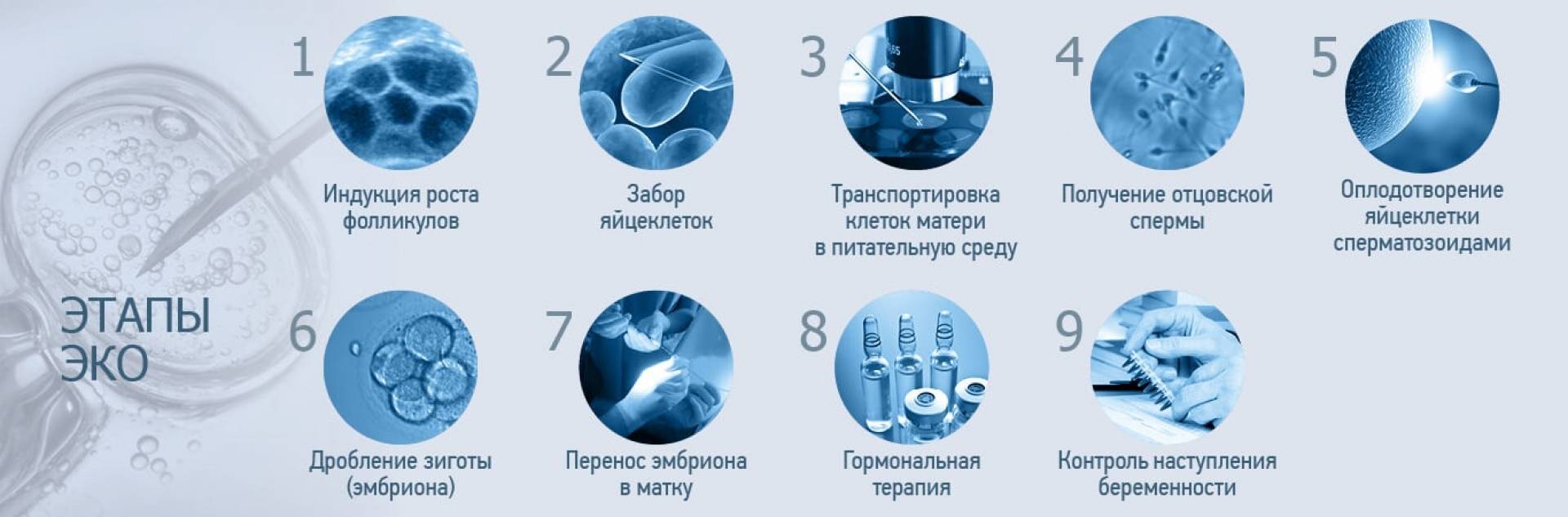 Что такое экстракорпоральное оплодотворение: этапы