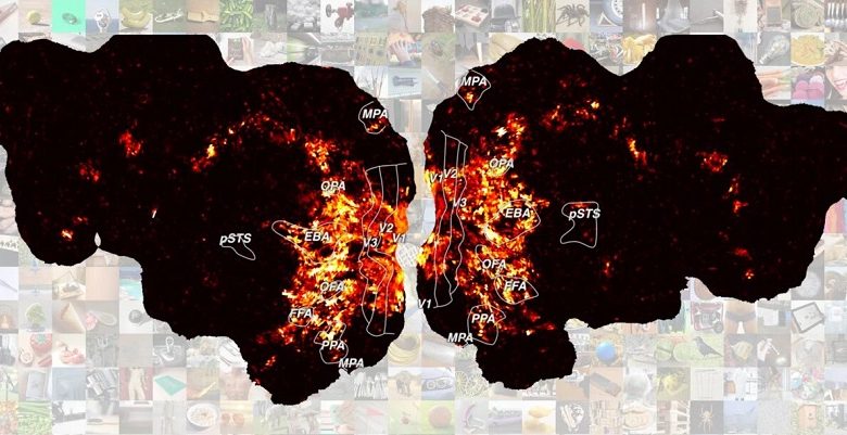Исследования показывают, что люди мыслят во многих измерениях одновременно