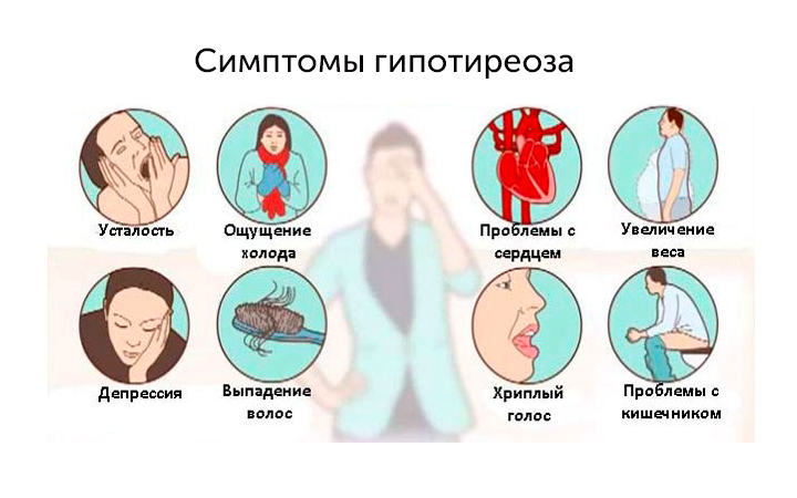 Когда одного гормона мало: как работает комбинированная терапия гипотиреоза