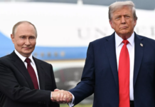«Картина реальной обстановки на поле боя»: Путин рассказал Трампу о наступлении ВС РФ