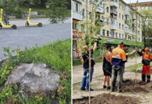 Почему в некогда тенистой Самаре деревьев осталось менее трети от норматива