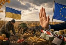 «Любые вливания бесполезны»: как Еврокомиссия отказала Украине в финансировании сельского хозяйства