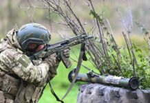 Продвижение сразу в трёх областях: ВС РФ освободили Толстодубово, Шабельное и Егоровку